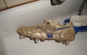 AVIS DE RECHERCHE...