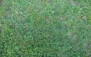 QUELLE PERFORMANCE DE NOTRE EQUIPE RESERVE...