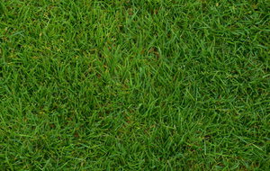 DATES DE REPRISE DES ENTRAÎNEMENTS...