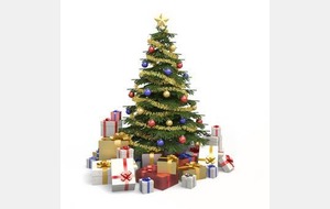 L'ARBRE DE NOËL DU FC PAYS MINIER...