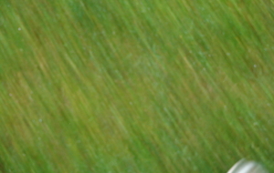 LE PROGRAMME DE REPRISE COMPLET DE NOS SENIORS...