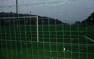 UN POINT SUR NOS SENIORS...