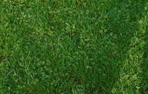 INFORMATIONS U13G...