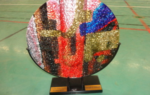 REPRISE DE LA 13ème EDITION DES TOURNOIS EN SALLE DU FC PAYS MINIER...