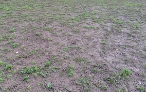 PAS DE SEANCE U13G, CE JEUDI...