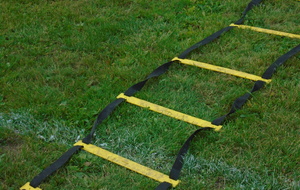 PROGRAMME DE REPRISE SENIORS G...