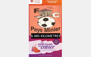 BILAN DU PARCOURS DU COEUR...