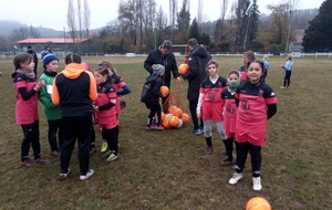 UN BON PLATEAU U11F...