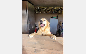 UNE AIDE APPRECIABLE...