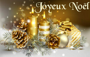 JOYEUX NOËL A TOUTES ET TOUS...