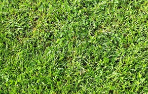 PREMIERE SORTIE DE LA SAISON 2024 / 2025...