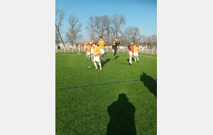 NOUVELLE VICTOIRE DES SENIORS G (A) DU FC PAYS MINIER...