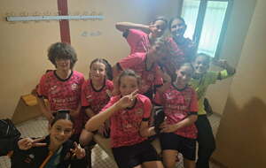 ELLES SONT EXCELLENTES...