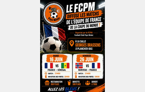DIFFUSION DES MATCHES DE L'EQUIPE DE FRANCE...