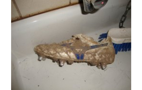 AVIS DE RECHERCHE...