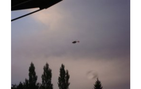 LA PHRASE DE L'ANNEE...