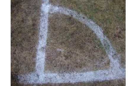 L'EQUIPE FANION DANS UNE MAUVAISE PASSE...