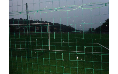 UN POINT SUR NOS SENIORS...