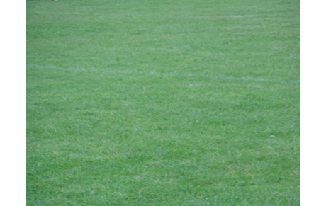 QUALIFICATION DES U18 DU FCPM...