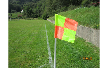 DEUX NOUVELLES DEFAITES...