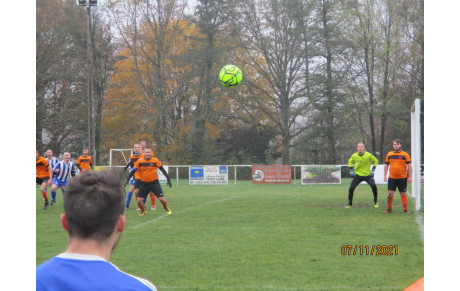 ILS SONT CHAMPIONS...