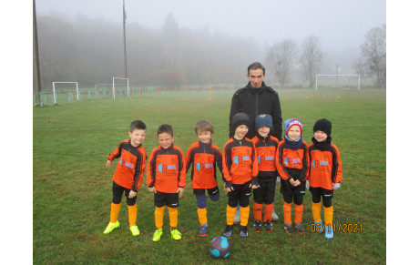 UN FROID DE CANARD...