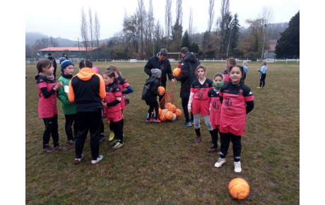 UN BON PLATEAU U11F...