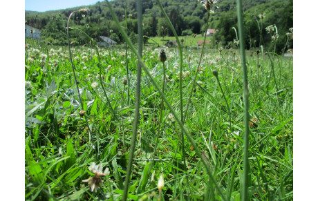 IL FAUT ÊTRE BIEN FAIT...