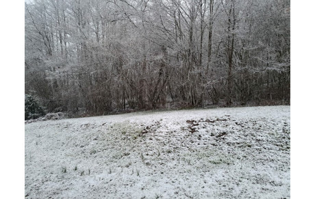 IL NE MANQUAIT PLUS QUE LA NEIGE...