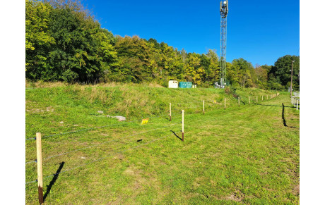 FAITES BIEN ATTENTION...